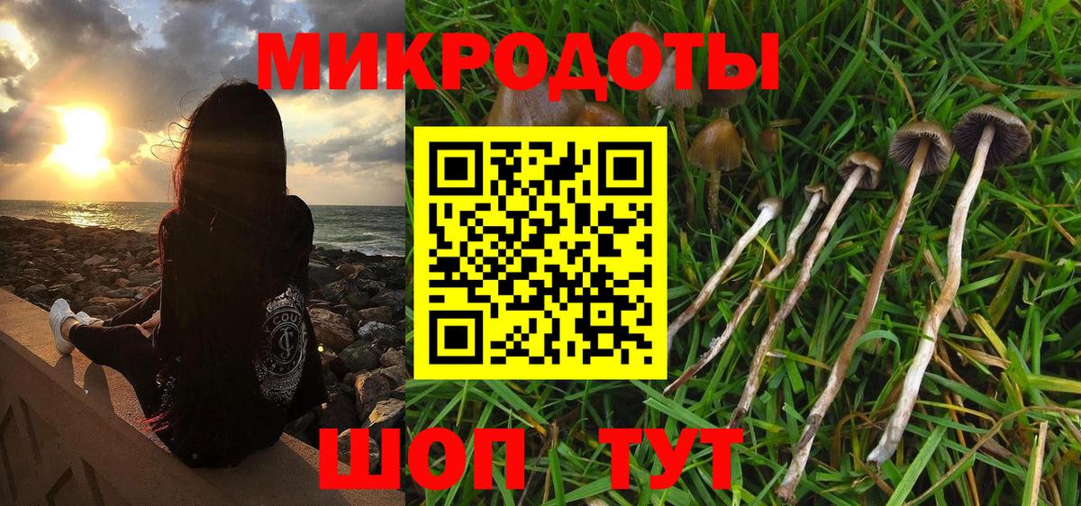 Галлюциногенные грибы прущие грибы Шатура