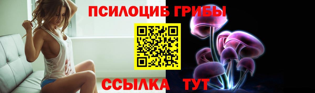 Шатура  Псилоцибиновые грибы мухоморы  Вход с VPN 